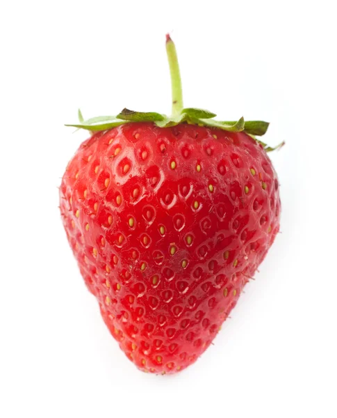 Strawberrie — 图库照片