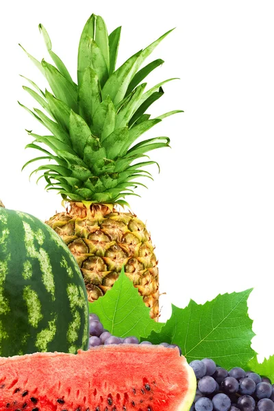 Renkli sağlıklı taze meyve — Stok fotoğraf