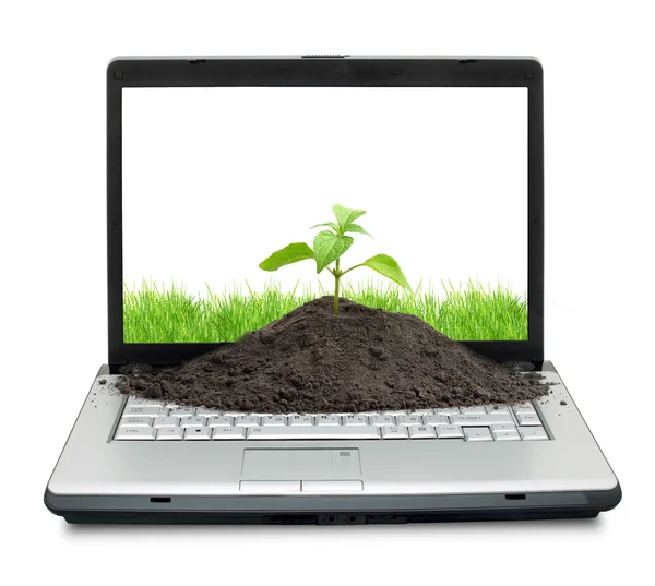 stock image Open laptop showing keyboard and screen isolated on white background