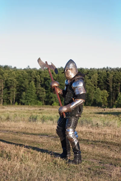 中世纪骑士 用斧子字段 — 图库照片