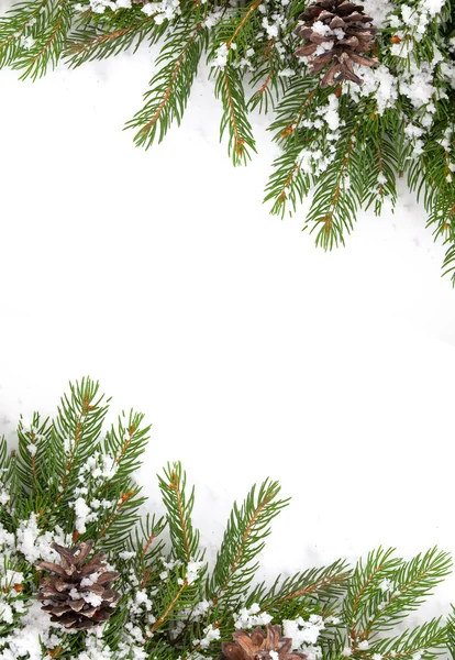 Kerstmis kader met sneeuw en kegels — Stockfoto