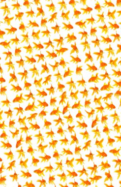 Goldfishes clipart