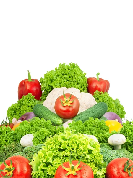 各类新鲜蔬菜 — 图库照片