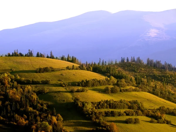 stock image Ukrainian landscape.