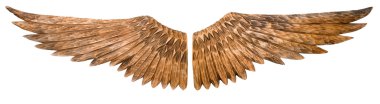 Wooden wings isolated on white background. clipart