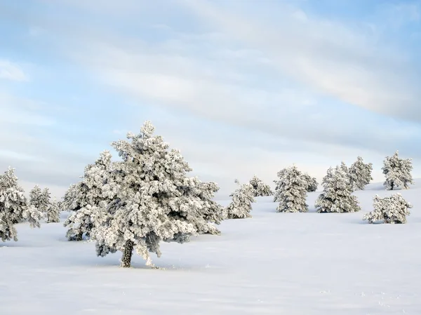 Inverno. — Foto Stock