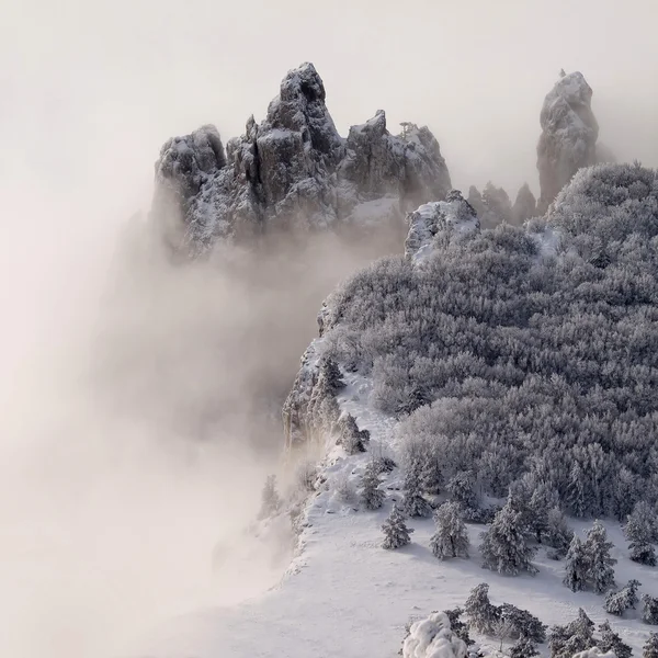 Snowy Mountains Trees Fog — Stock Photo, Image