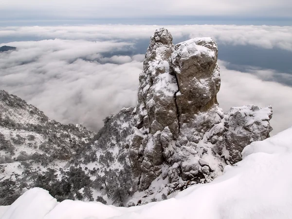 Verschneite Berge Mit Bäumen Und Nebel — Stockfoto