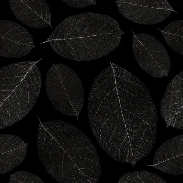 Getrocknete Blätter nahtloser Hintergrund. — Stockfoto