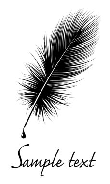 Feather. clipart