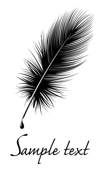 Feather. — Stock Vector
