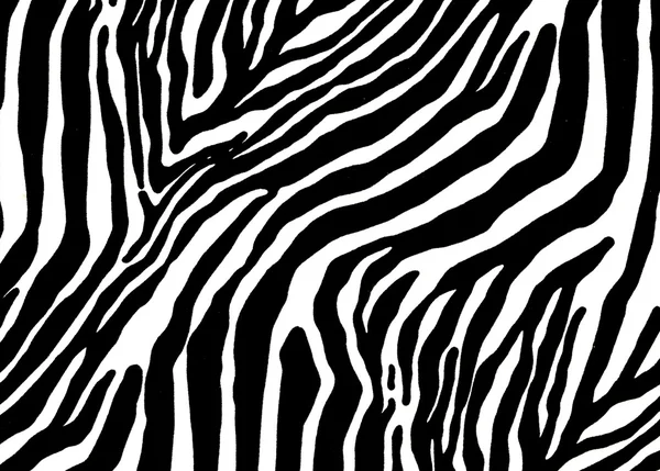 Zebra pattern Images - Search Images on Everypixel