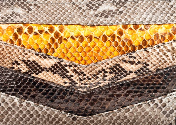 Hadí kůže textury — Stock fotografie