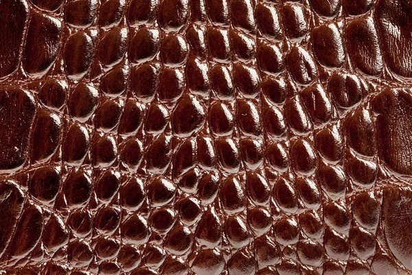 Snake leather texture — Stock Photo, Image