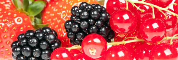 Berrys Strawberry Currant Blackberry Raspberry — Stock Photo, Image