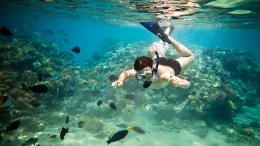 snorkeler. Kızıl Deniz