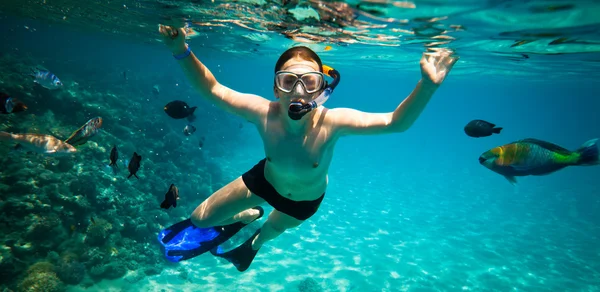 Snorkeler. Mar Rosso — Foto Stock