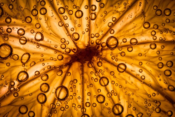 Abstrakter Hintergrund Eine Zitrusfrucht Aus Nächster Nähe Mit Blasen — Stockfoto