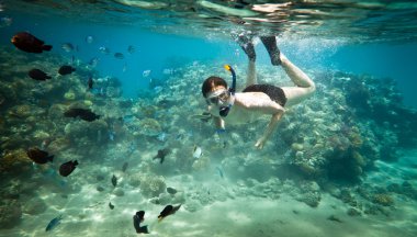 snorkeler. Kızıl Deniz