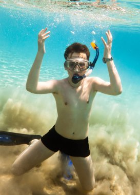 snorkeler. Kızıl Deniz