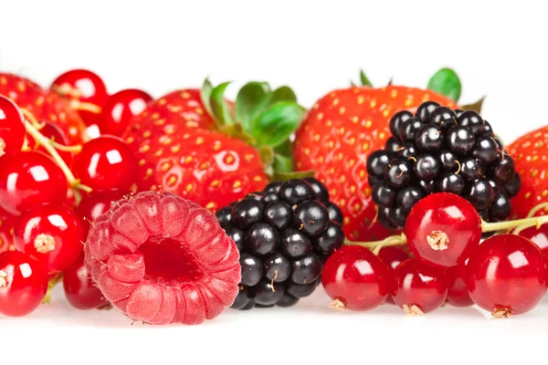 Berry — Foto Stock