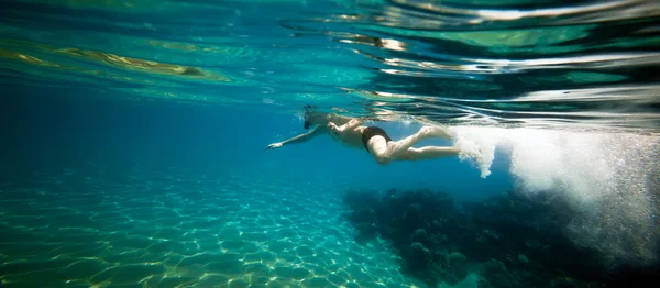 Snorkeler. Червоне море — стокове фото