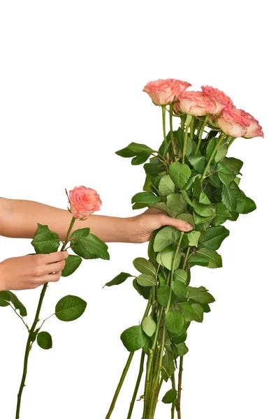 Большой букет роз — стоковое фото