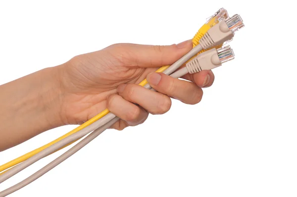 Cabluri LAN — Fotografie, imagine de stoc