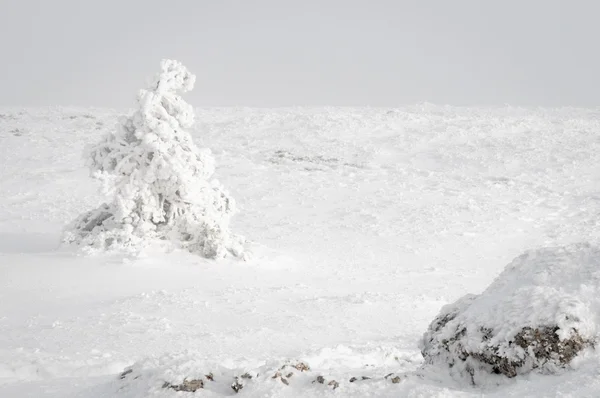 Paisagem Inverno Natureza Nas Montanhas — Fotografia de Stock