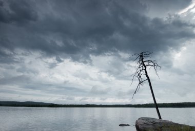 Nature landscape on the lake in bad weather clipart