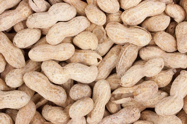 Noix Cacahuètes — Photo