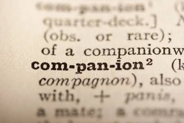 Word companion — Stock Photo, Image