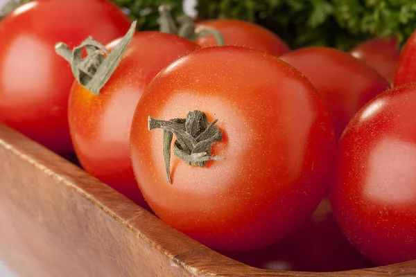Küçük kırmızı domatesler — Stok fotoğraf