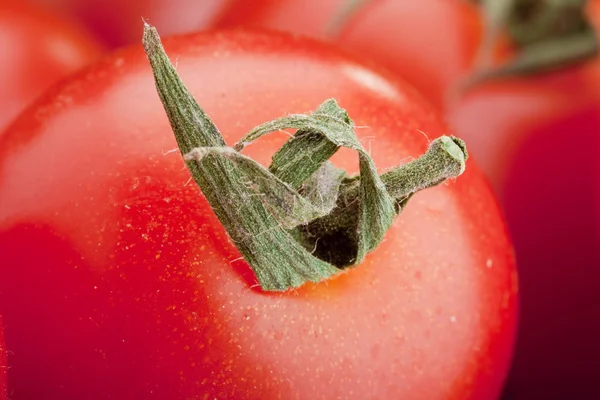 Маленькі червоні помідори — стокове фото