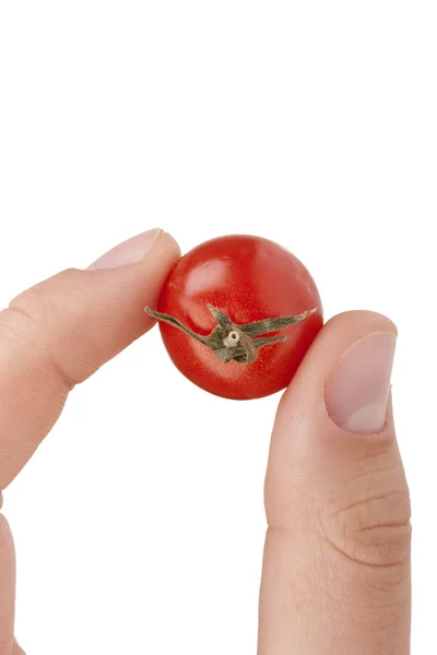Liten röd tomat — Stockfoto