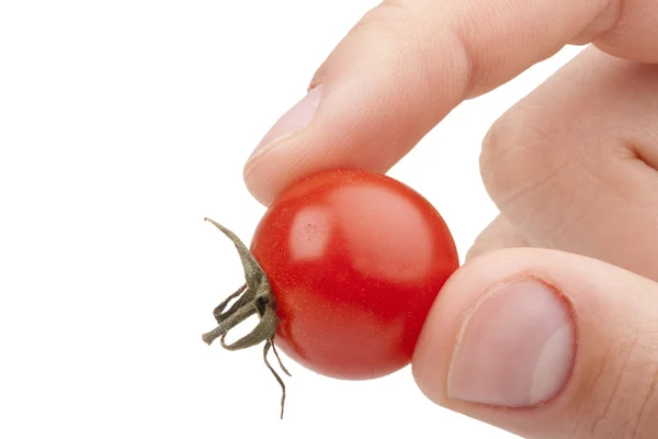 Маленький червоний помідор — стокове фото