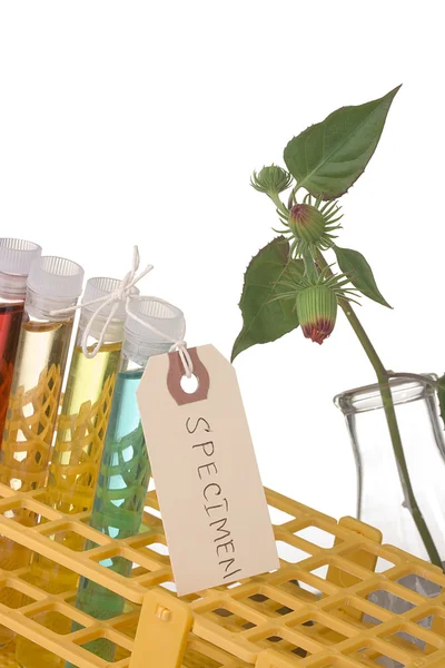 Biochemistry — Stock Photo, Image