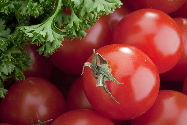 Pequenos tomates vermelhos — Fotografia de Stock