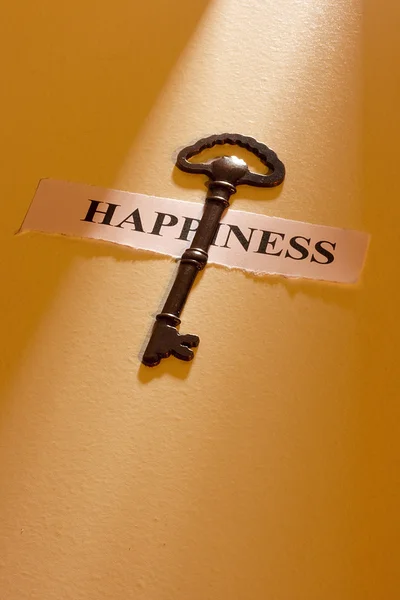 Ключ к счастью — стоковое фото