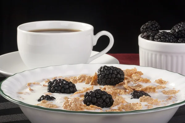 Cereals with blackberry — Stock Photo, Image