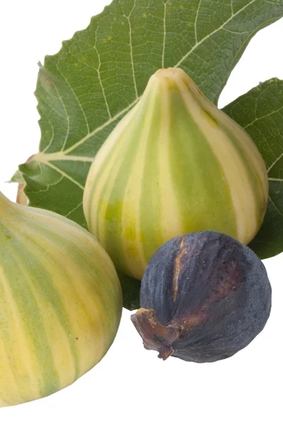 Rijpe Vruchten Van Een Fig Een Wit Oppervlak — Stockfoto