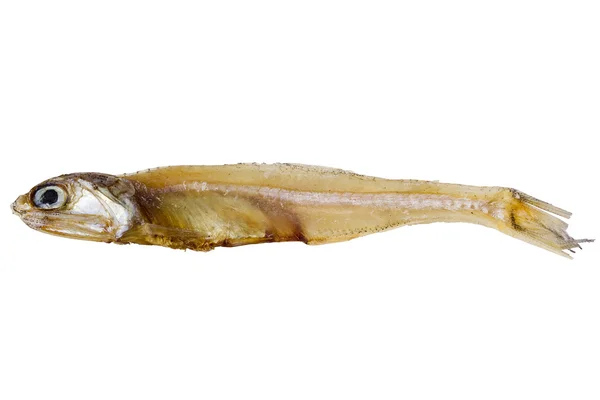 乾燥魚 — ストック写真