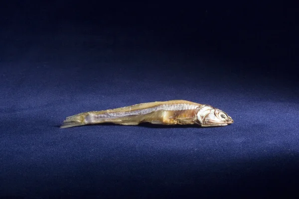 Kuru balık — Stok fotoğraf
