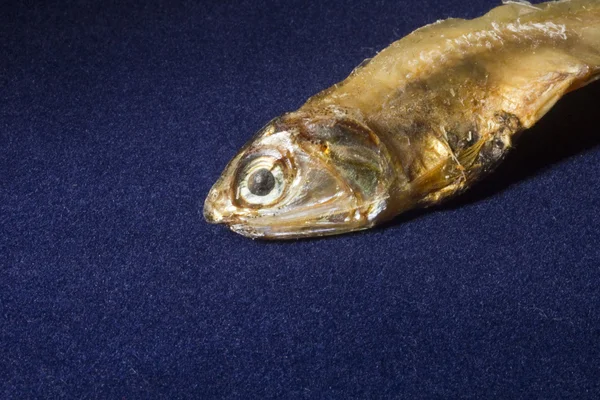 Сухий риби — стокове фото