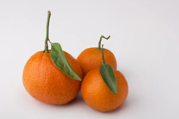 Orangene Mandarinen — Stockfoto