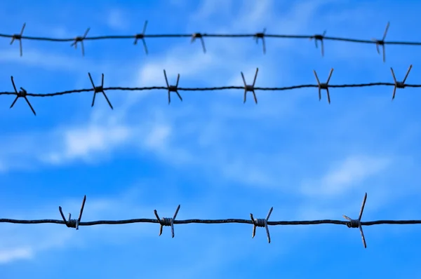 stock image Barbed Wire