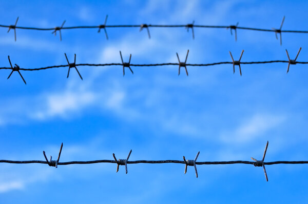 Barbed Wire photographed against a background of blue cloudy sky. Focus on the front view