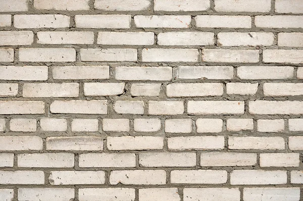 Hvid mursten wal - Stock-foto