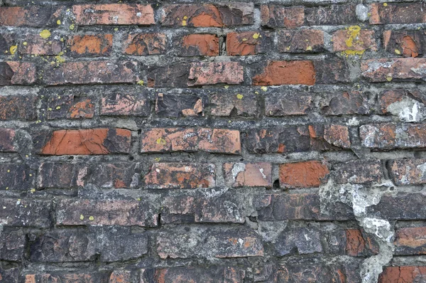 Weathered brick wall background — Stock Photo, Image