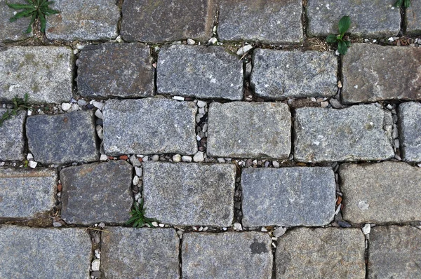ブロックの舗装の背景 — ストック写真